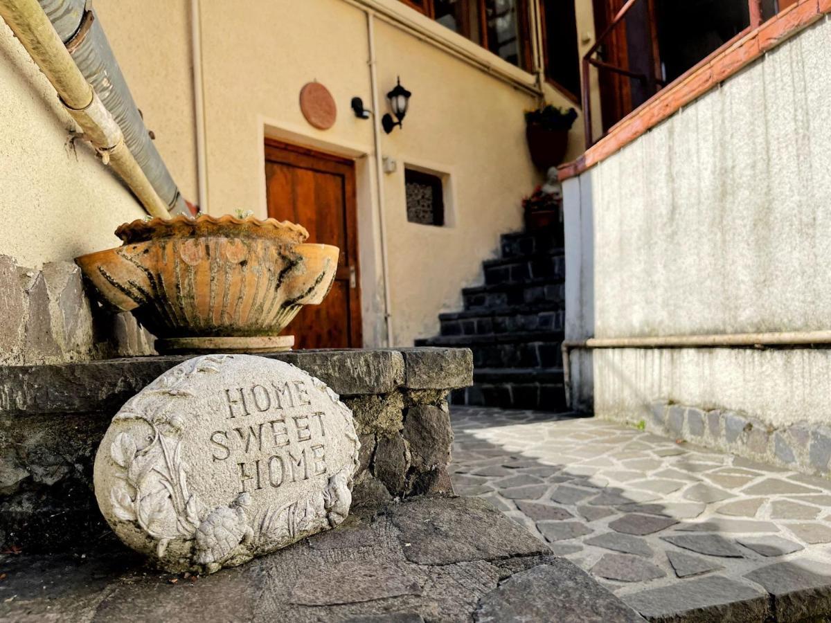 Dream House Brasov 호텔 외부 사진