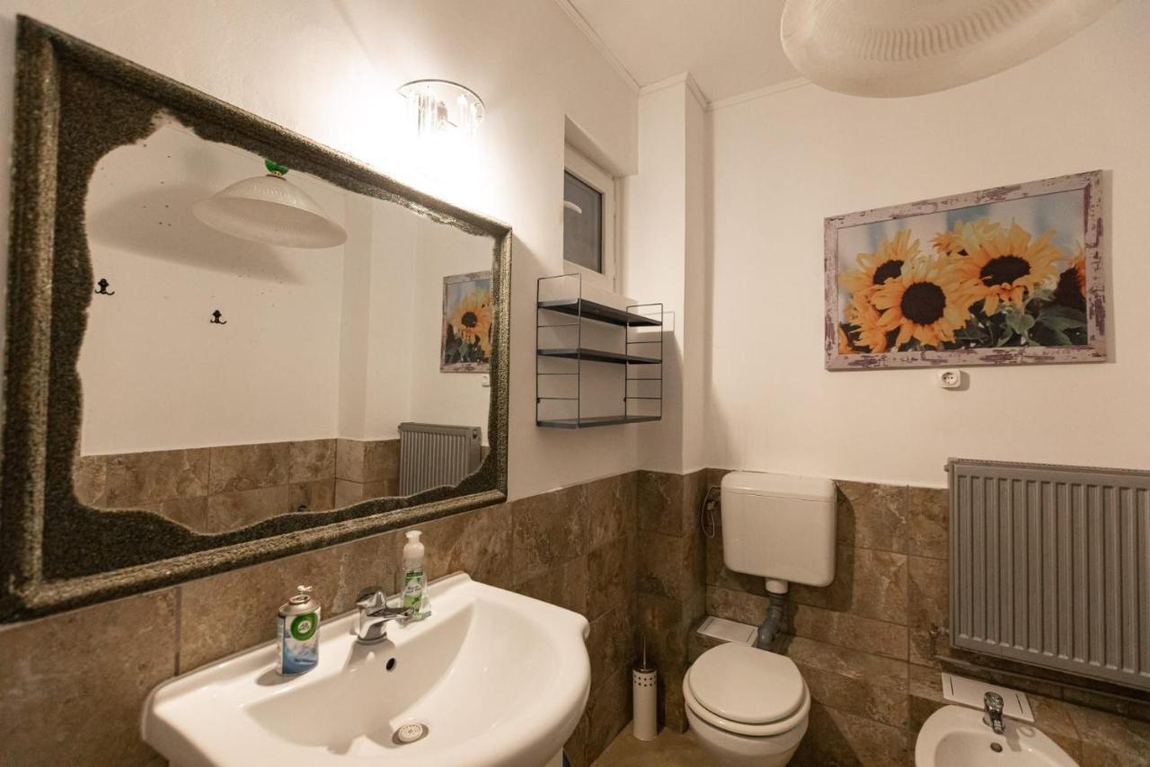 Dream House Brasov 호텔 외부 사진